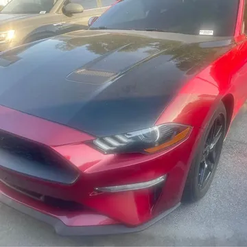2019 Ford Mustang EcoBoost Coupe 2D
