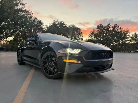 2019 Ford Mustang EcoBoost Coupe 2D