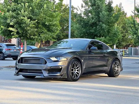 2019 Ford Mustang EcoBoost Coupe