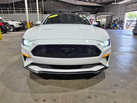 2019 Ford Mustang EcoBoost Coupe 2D