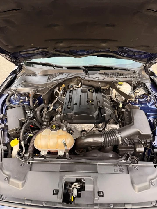 2019 Ford S550 Mustang - Image 15 of 15