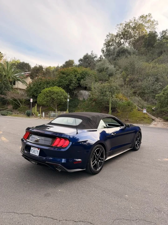 2019 Ford S550 Mustang - Image 13 of 15