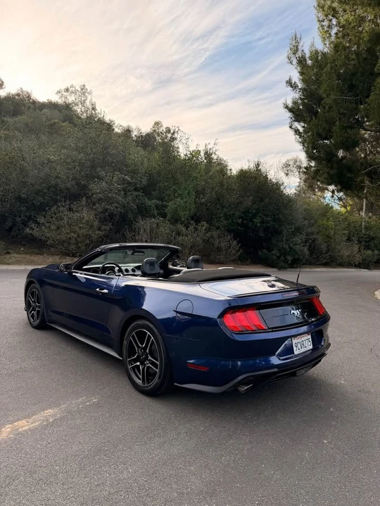 2019 Ford S550 Mustang - Image 2 of 15