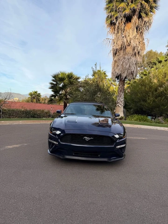 2019 Ford S550 Mustang - Image 10 of 15
