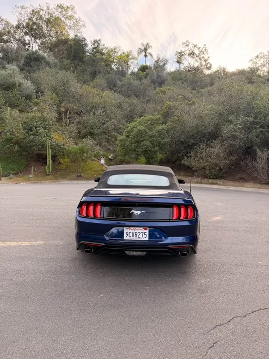 2019 Ford S550 Mustang - Image 14 of 15