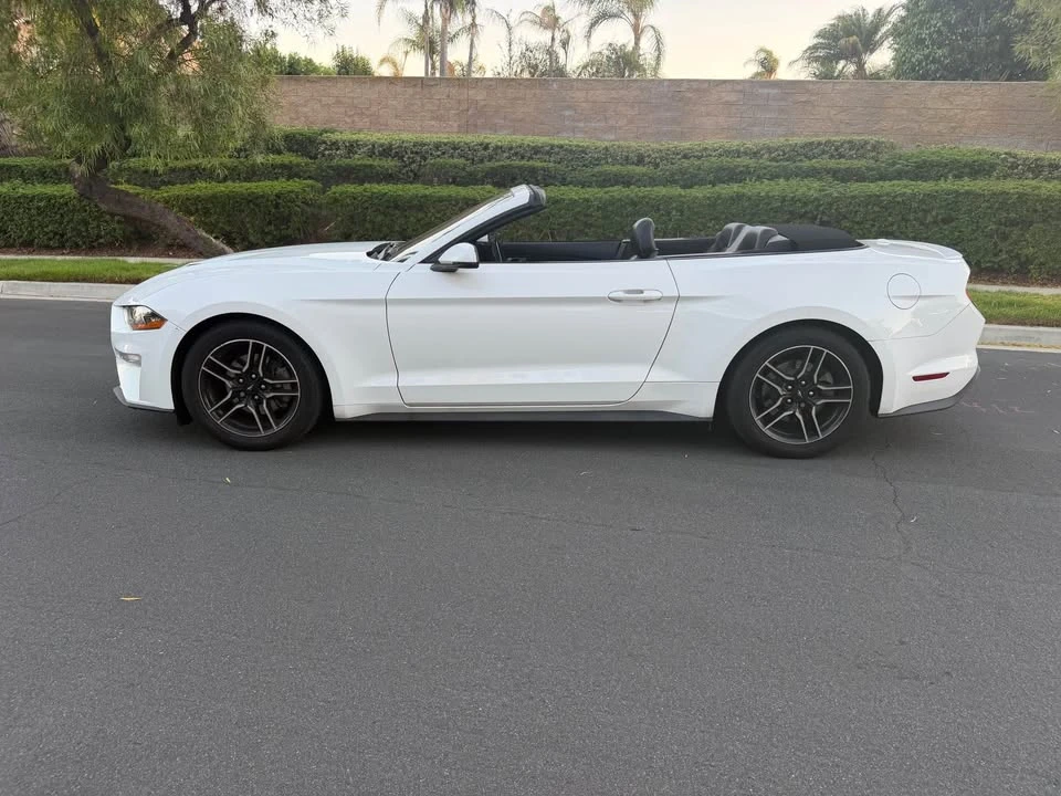 2019 Ford S550 Mustang - Image 2 of 17