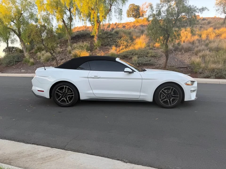 2019 Ford S550 Mustang - Image 8 of 17