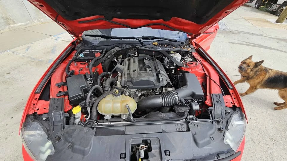 2019 Ford S550 Mustang - Image 8 of 10