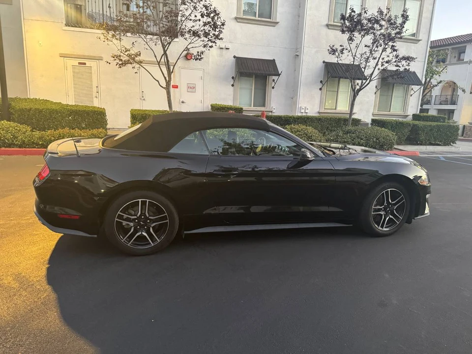 2019 Ford S550 Mustang - Image 12 of 13