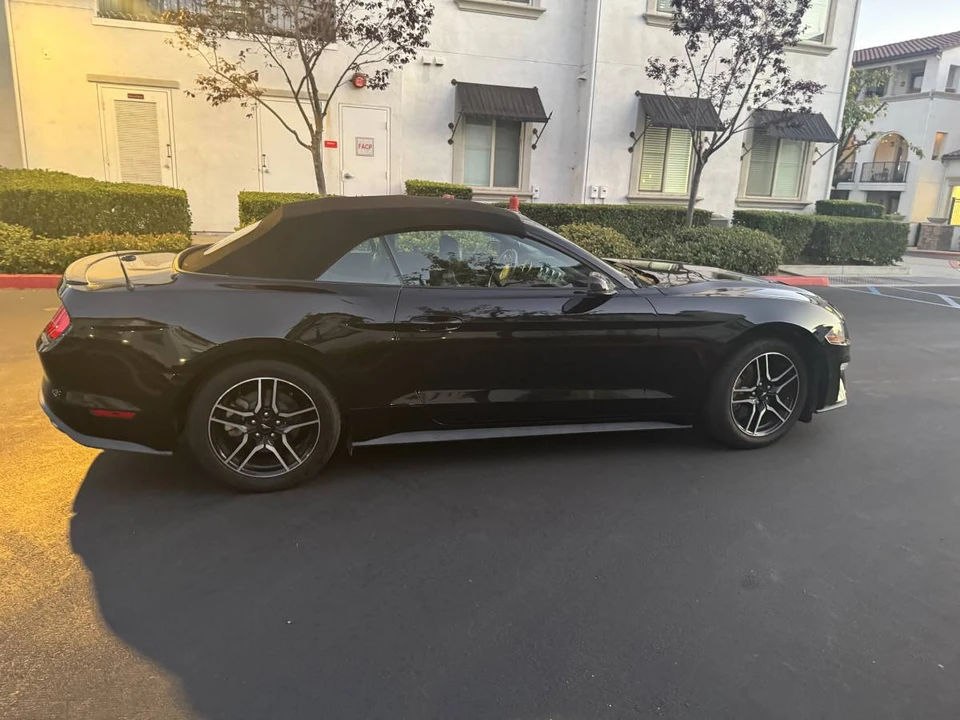 2019 Ford S550 Mustang - Image 13 of 13
