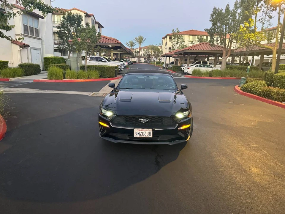 2019 Ford S550 Mustang - Image 2 of 13