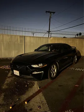 2019 Ford Mustang Ecoboost