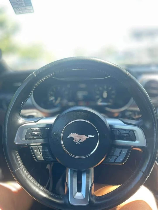 2019 Ford S550 Mustang - Image 14 of 18