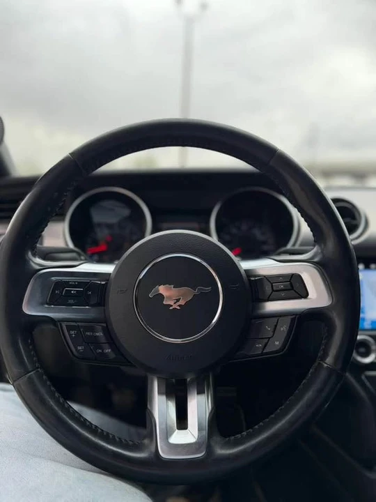 2019 Ford S550 Mustang GT - Image 12 of 15