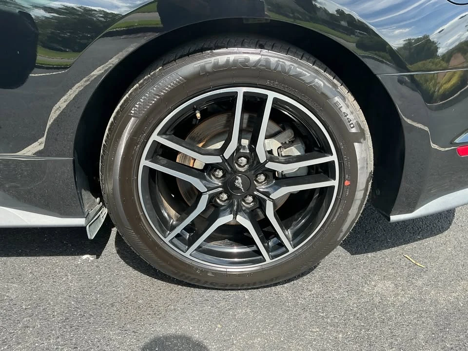 2019 Ford S550 Mustang GT - Image 19 of 20