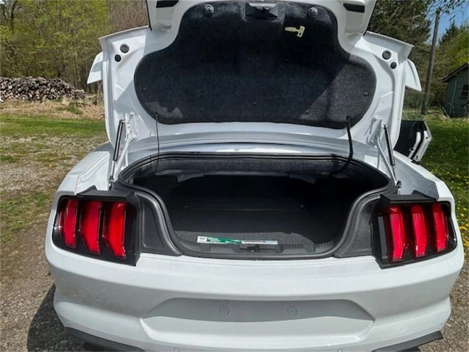 2019 Ford S550 Mustang GT - Image 25 of 30