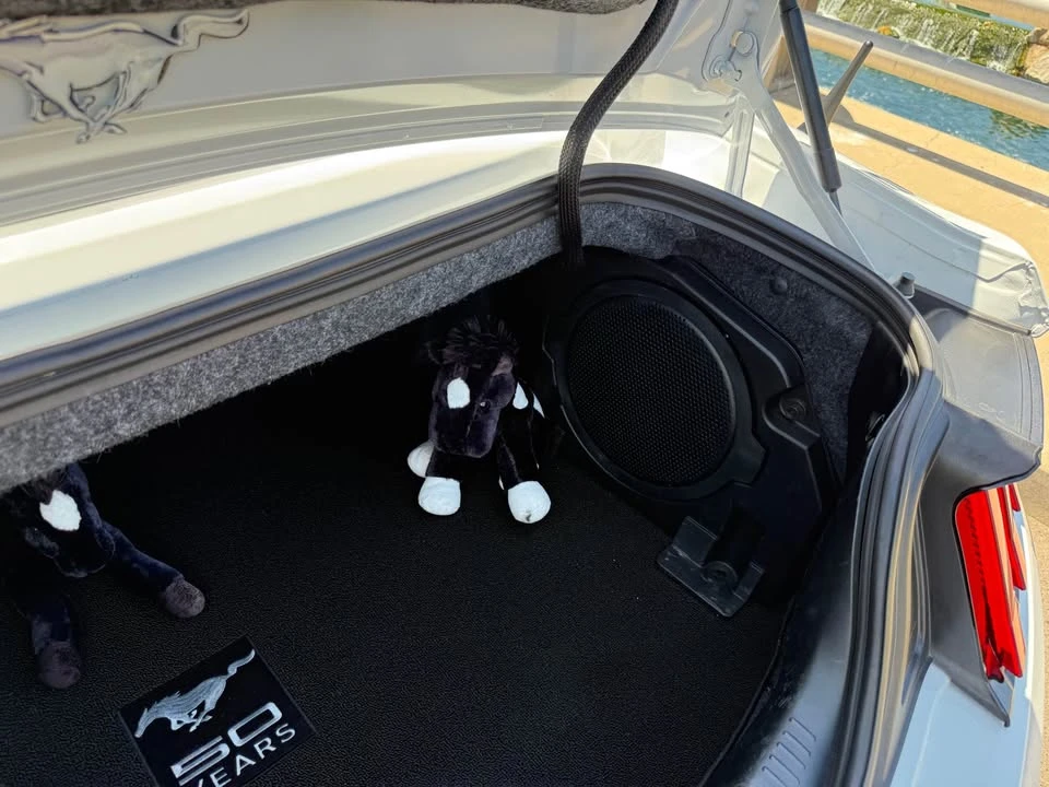 2019 Ford S550 Mustang GT - Image 13 of 13