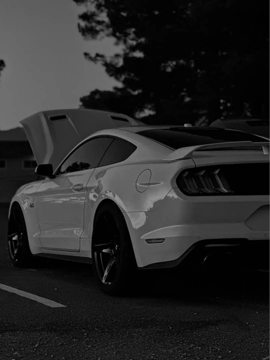 2019 Ford S550 Mustang GT - Image 2 of 7