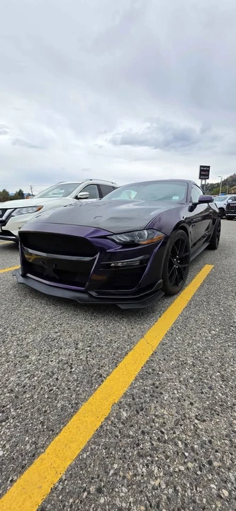 2019 Ford S550 Mustang GT - Image 2 of 8