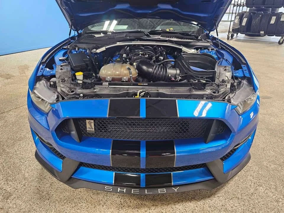 2019 Ford Mustang - Image 14 of 16