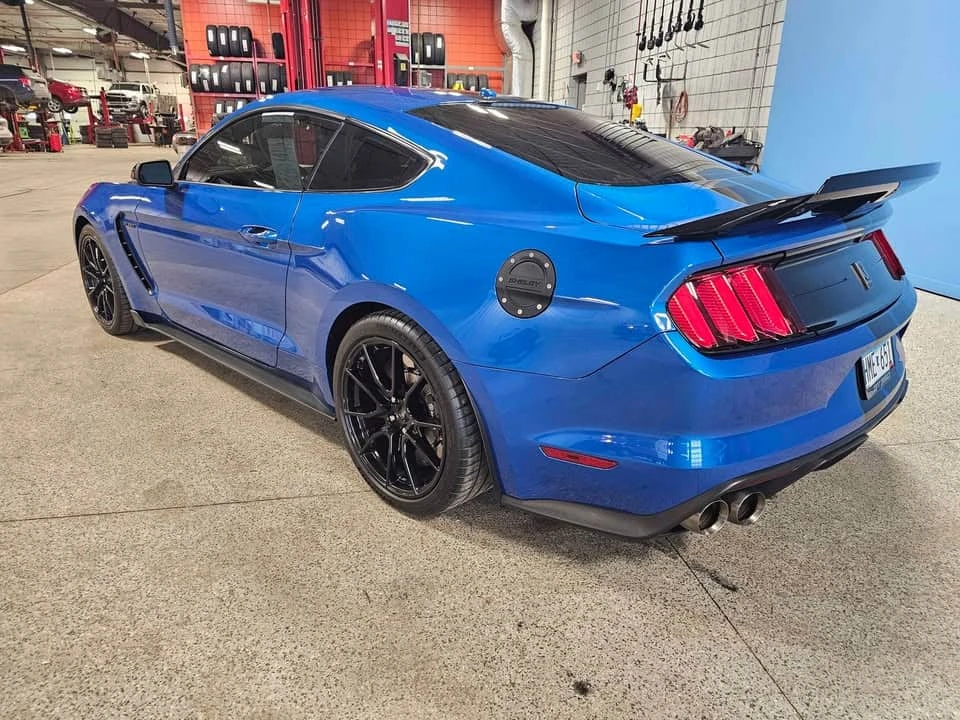 2019 Ford Mustang - Image 5 of 16