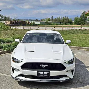2019 Ford Mustang