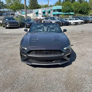 2019 Ford Mustang EcoBoost