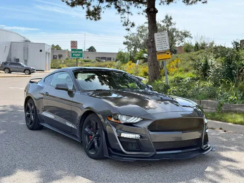 2019 Ford Mustang EcoBoost