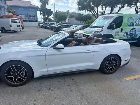 2019 Ford Mustang