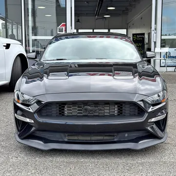2019 Ford Mustang EcoBoost Premium Fastback