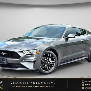 2019 Ford Mustang