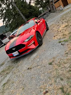2019 Ford Mustang GT