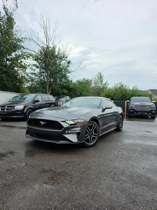 2019 Ford S550 Mustang - Image 2 of 15
