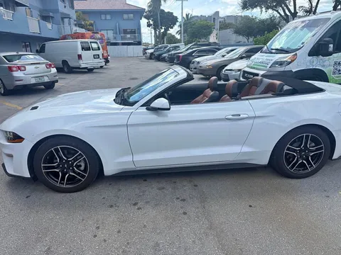 2019 Ford Mustang