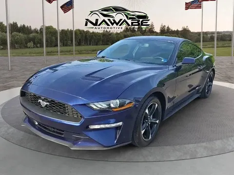2019 Ford Mustang