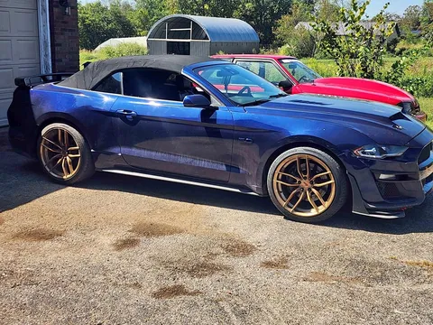 2019 Ford Mustang GT PP1