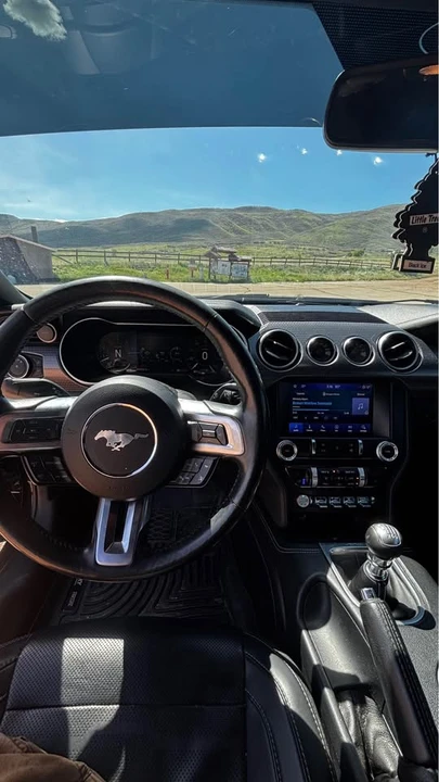 2019 Ford S550 Mustang - Image 10 of 10