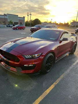 2019 Ford Mustang Shelby GT350