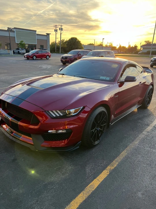 2019 Ford S550 Mustang - Image 8 of 8