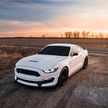 2019 Ford Mustang Shelby GT350