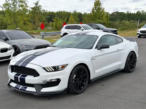2019 Ford Mustang Shelby GT350 Coupe 2D