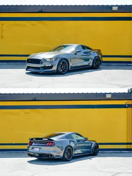 2019 Ford Mustang Shelby GT350 Coupe 2D