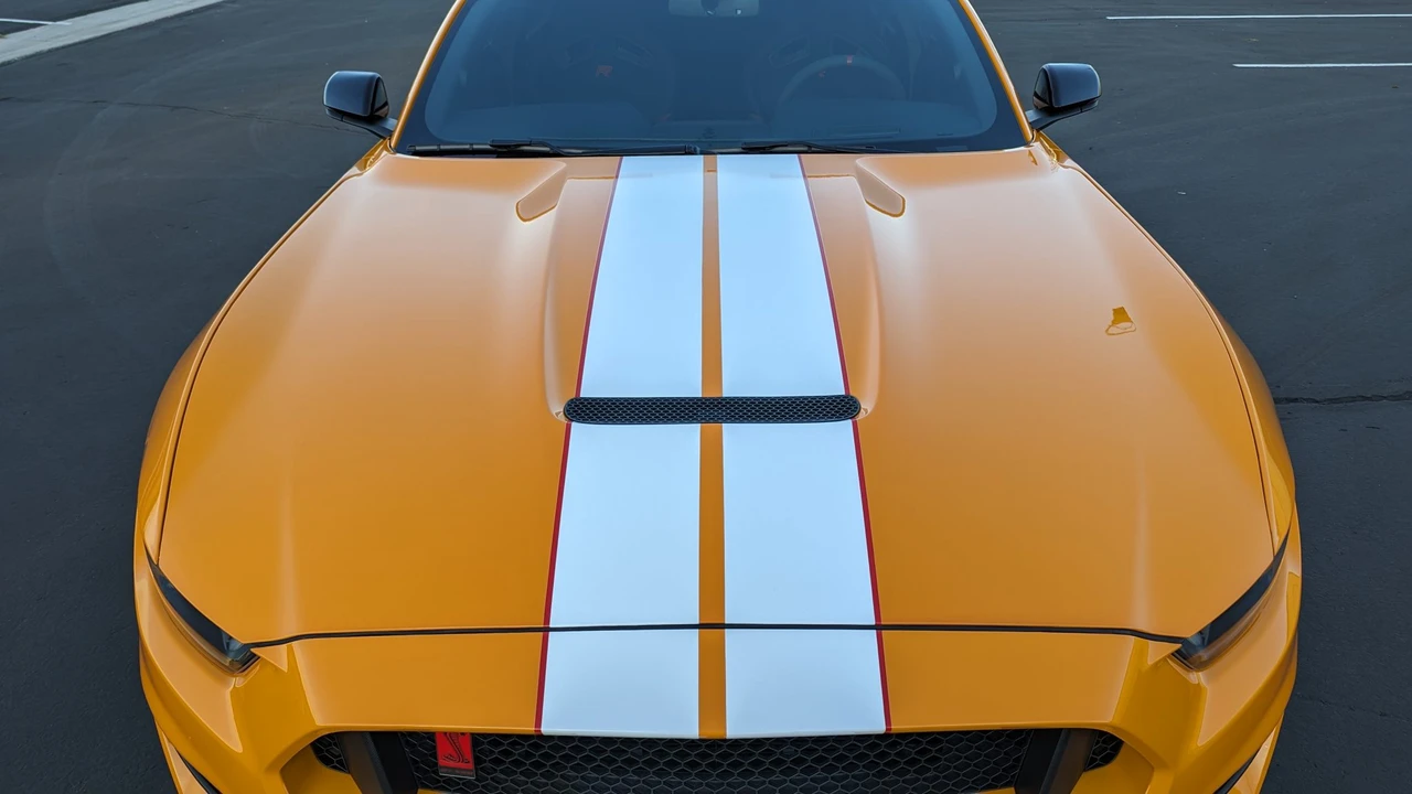 2019 Ford S550 Shelby Mustang GT350R - Image 20 of 31