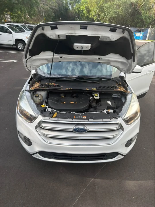 2019 Ford Escape - Image 20 of 20