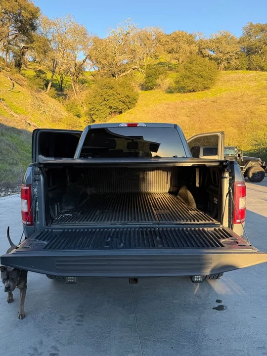 2019 Ford F-150 13th Gen - Image 13 of 17