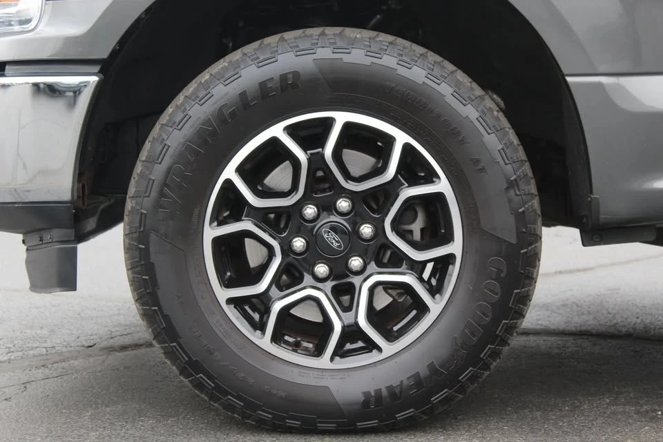 2019 Ford F-150 13th Gen - Image 17 of 18