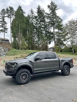2019 Ford F-150 Raptor 802A