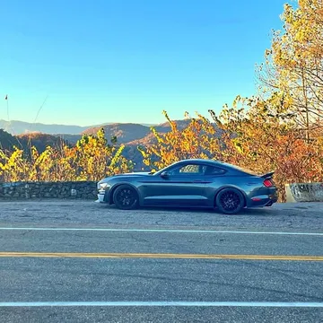 2019 Ford Mustang GT PP1