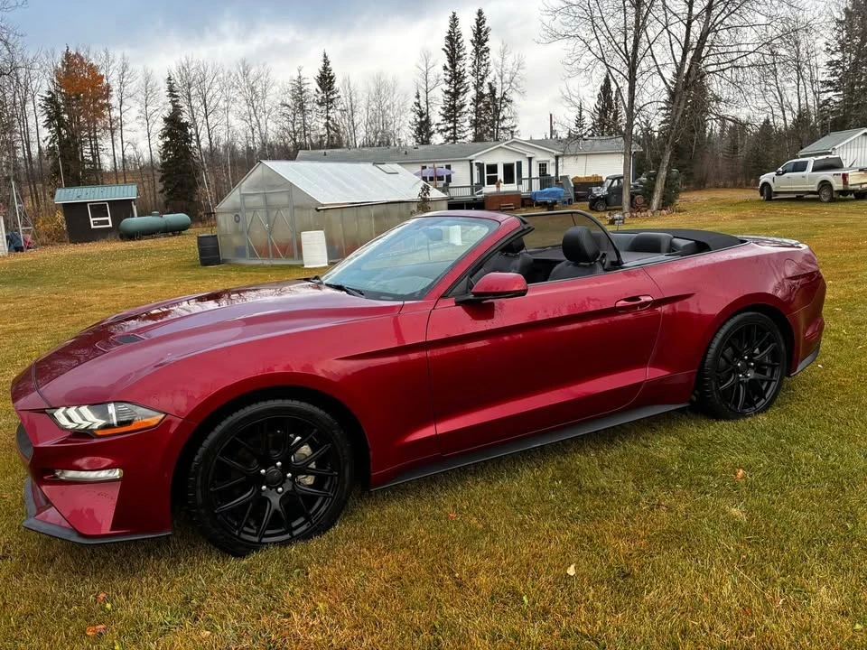 2019 Ford S550 Mustang - Image 5 of 13