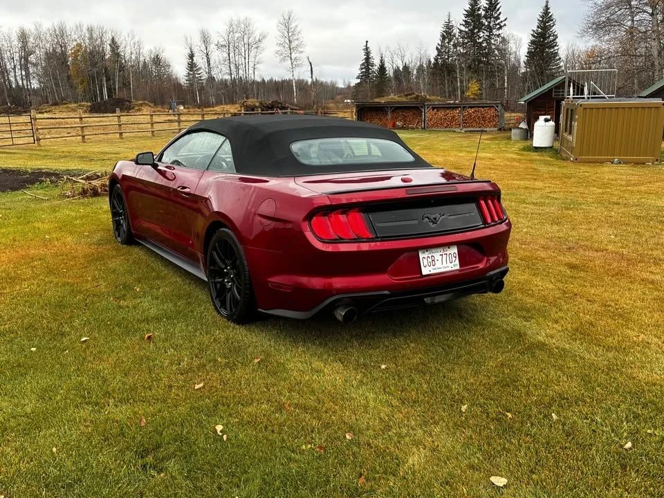 2019 Ford S550 Mustang - Image 7 of 13